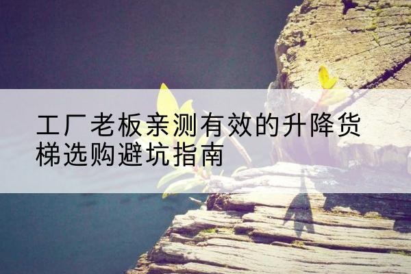 萧县升降货梯怎么选-工厂老板亲测有效的升降货梯选购避坑指南