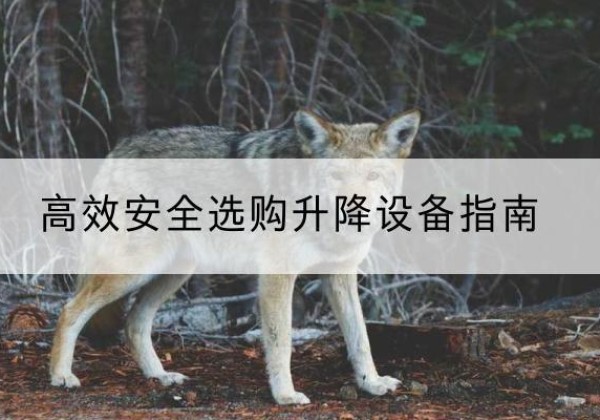 萧县升降货梯厂家推荐-*安全选购升降设备指南