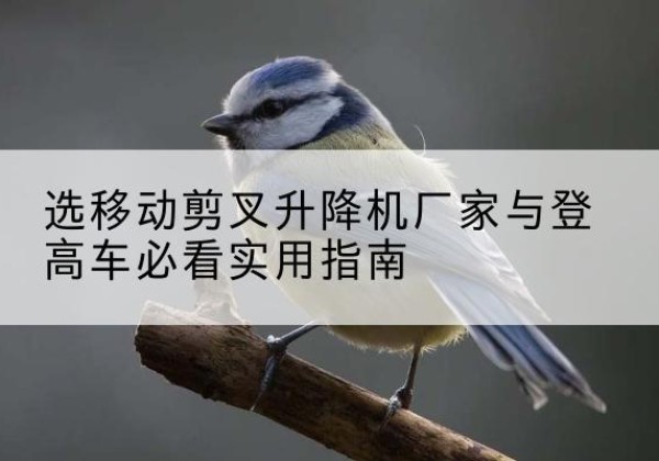 萧县电动升降机厂家-选移动剪叉升降机厂家与登高车必看实用指南