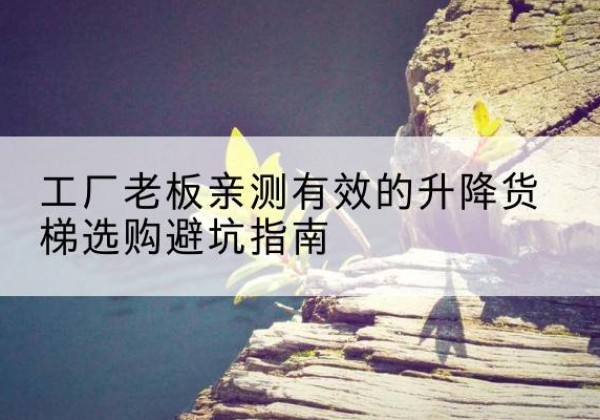 萧县升降货梯怎么选-工厂老板亲测有效的升降货梯选购避坑指南